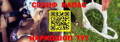 прущие грибы Заводоуковск
