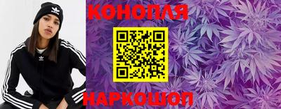прущие грибы Заводоуковск