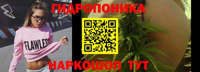 гидропоника Заволжье