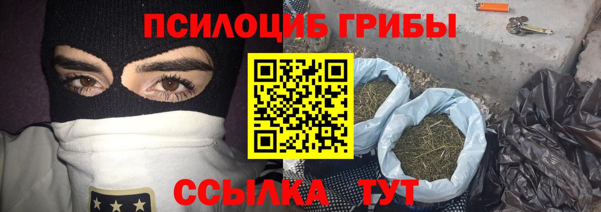 Псилоцибиновые грибы Psilocybe  купить  цена  Магадан  Вход с VPN 